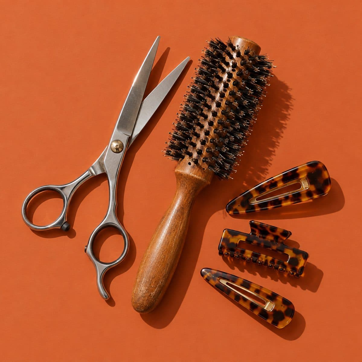 Hair shears and brush